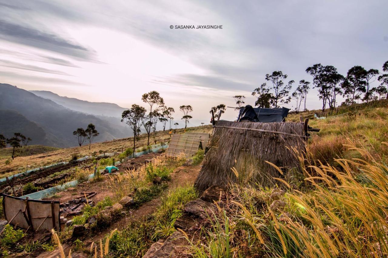 Eco Lodge Haputale-Camping Sri Lanka Ngoại thất bức ảnh