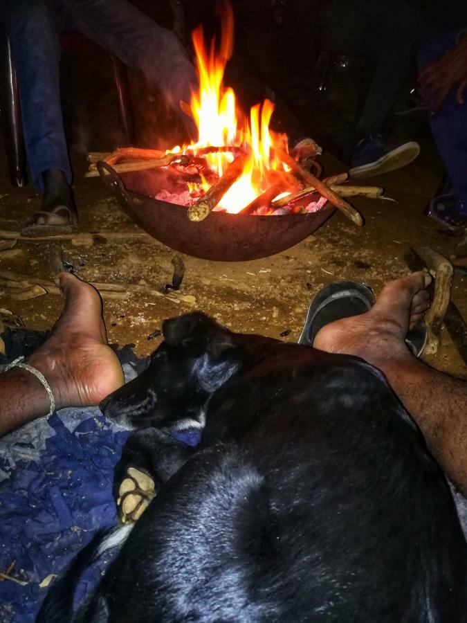 Eco Lodge Haputale-Camping Sri Lanka Ngoại thất bức ảnh
