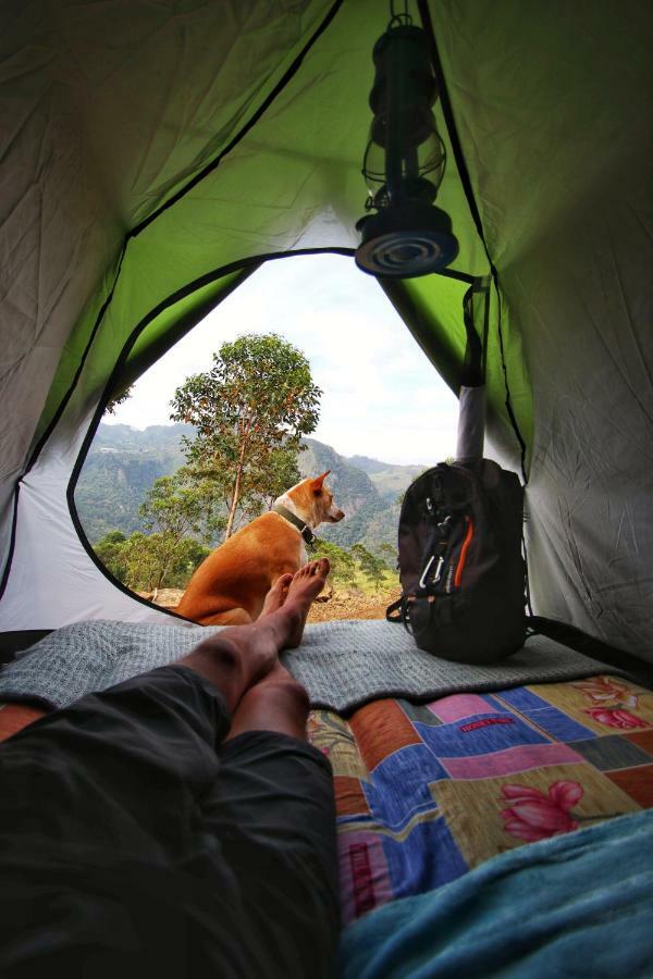 Eco Lodge Haputale-Camping Sri Lanka Ngoại thất bức ảnh