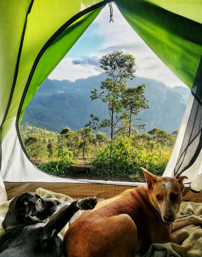 Eco Lodge Haputale-Camping Sri Lanka Ngoại thất bức ảnh
